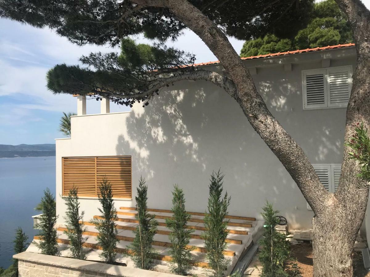 Vela Sollis Marusici (Split-Dalmatia)